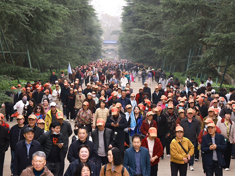 南京，父母们来啦｜河南矿山第十四届孝文化感恩旅游节第二站